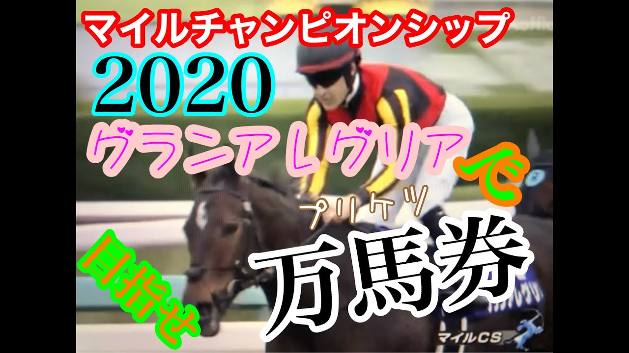 競輪じゃないです。『競馬』マイルチャンピオンシップ2020 プリケツ予想で目指せ万馬券!〜グランアレグリア〜編 競輪じゃないです。『競馬』マイルチャンピオンシップ2020 プリケツ予想で目指せ万馬券!〜グランアレグリア〜編