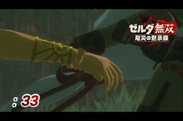 【ゼルダ無双 厄災の黙示録】#33 ハテノ塔の戦い 1