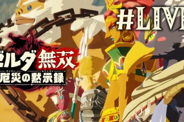 【配信】お久しぶりです。【ゼルダ無双 厄災の黙示録】
