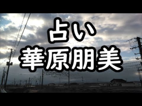 《占い》華原朋美さん《占い》