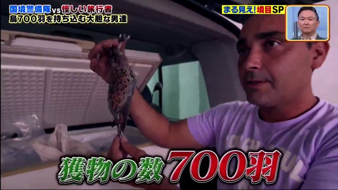 世界まる見え!テレビ特捜部2020年11月30日 201130 石田ゆり子＆西島秀俊爆笑！床の境目が怖い犬？密入国する象？　キューバフロリダ間を大遠泳！６０代女性スイマーｖｓ毒クラゲまさかの結