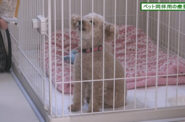 新型コロナウイルス感染症の軽症者等の皆様のための宿泊療養施設のご紹介