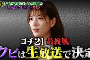 【公式】ぐるナイ ゴチ最終戦3時間SP 本田翼の意気込み12月24日木曜よる7時56分放送