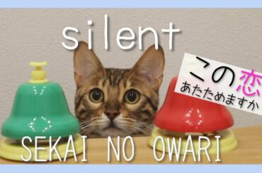 【silent/SEKAI NO OWARI】寒い冬の日もハンドベル演奏する可愛いベンガル猫 #この恋あたためますか