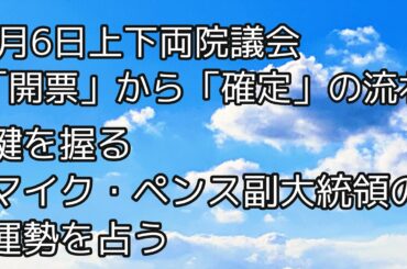 【米大統領選占い予報⑬】1月6日両院議会までのマイク・ペンス上院議長（副大統領）の運勢を占う【タロット占い】