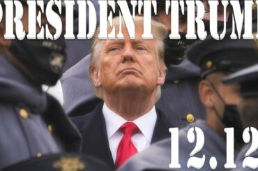 アメリカ大統領選挙2020⑫　トランプ大統領とマイケルフリン中将　これが民意というものでは？ワシントンD.C.に集まった人々（March for Trump)　12.月12日