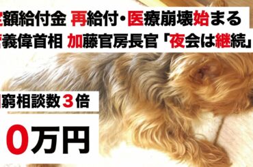 【特別定額給付金・医療崩壊始まる】菅義偉首相 加藤官房長官「夜の会食 継続」VS 生活困窮者 3倍「家計へ再給付を」【緊急事態宣言 2回目】7都道府県 ステージ4