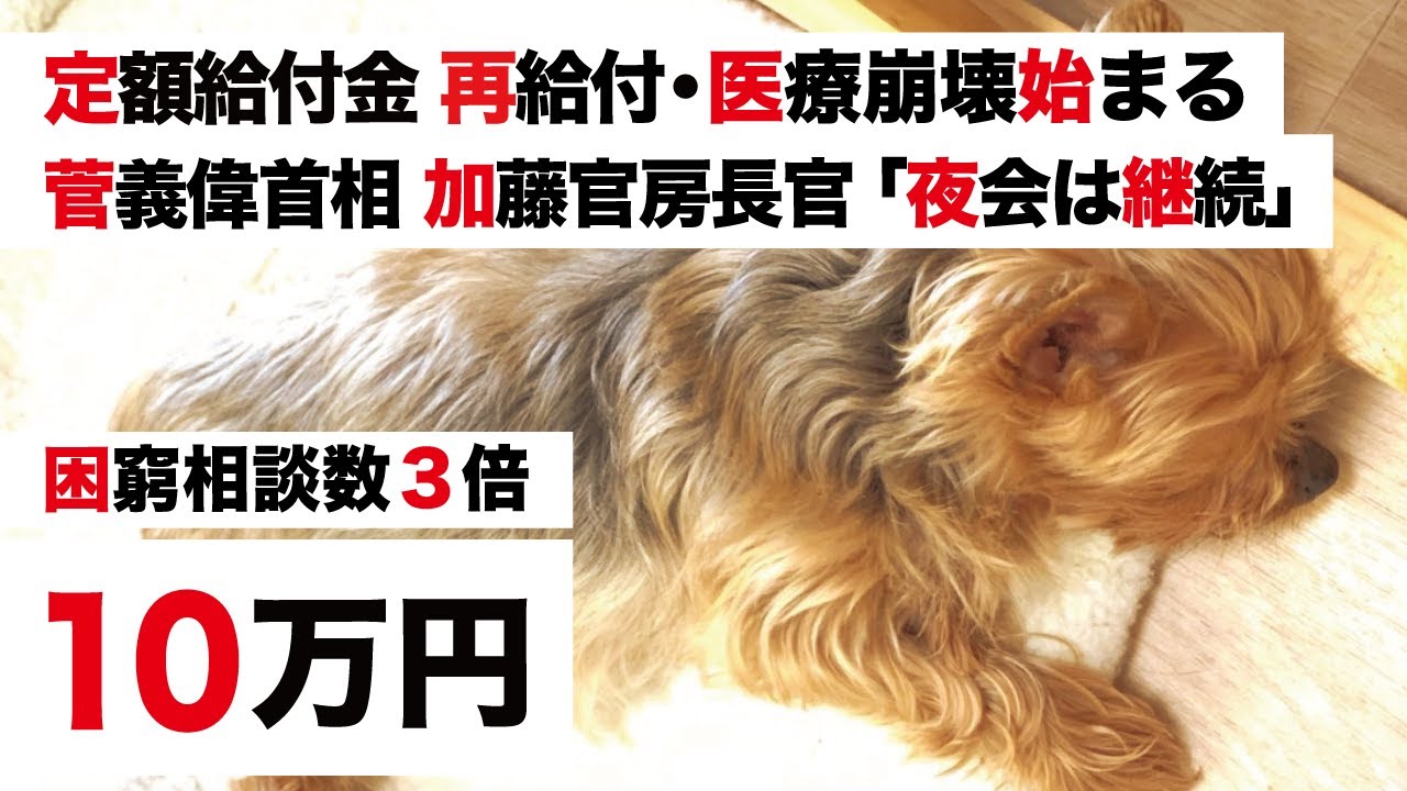 【特別定額給付金・医療崩壊始まる】菅義偉首相 加藤官房長官「夜の会食 継続」VS 生活困窮者 3倍「家計へ再給付を」【緊急事態宣言 2回目】7都道府県 ステージ4 【特別定額給付金・医療崩壊始まる】菅義偉首相 加藤官房長官「夜の会食 継続」VS 生活困窮者 3倍「家計へ再給付を」【緊急事態宣言 2回目】7都道府県 ステージ4