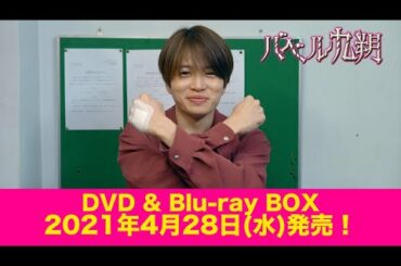 【公式】シンドラ『バベル九朔』 待望のDVD&Blu-ray BOX 2021年4月28日(水)発売決定！