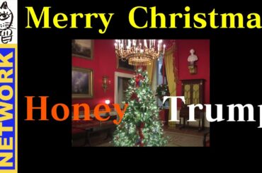 Merry Christmas！President Trump, First Lady Melania's First Dance.ハニー、トランプ。真実の愛。