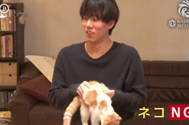 100万円の女たちの猫