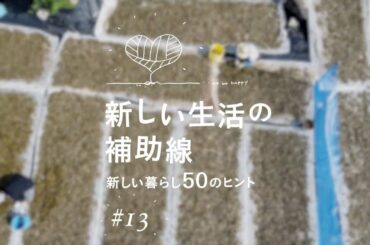 新しい生活の補助線 #13「森さんちの相生晩茶作り2020」