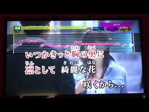 RINA /光「さくらの親子丼」主題歌(原曲キー)/音程バー歌詞付フル/カラオケ95点