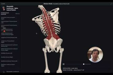 【オンライン診療】ガチガチ腰方形筋リリーステクニック！