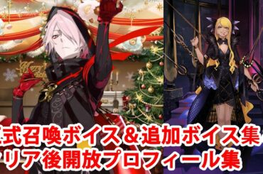 【12/22追加分】【FGO】カルナ〔サンタ〕＆ヴリトラ　召喚＆追加ボイス集＆開放プロフィール集【Fate/Grand Order】