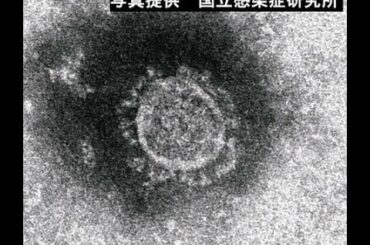 年末年始に新型コロナウイルス感染症の患者を治療したり、検査したりする医療機関に協力金を支払う都道府県は２５日時点で、東京や大阪など１５都府県に上ることが読売新聞の調査でわかった。過去最多水準の感染拡大
