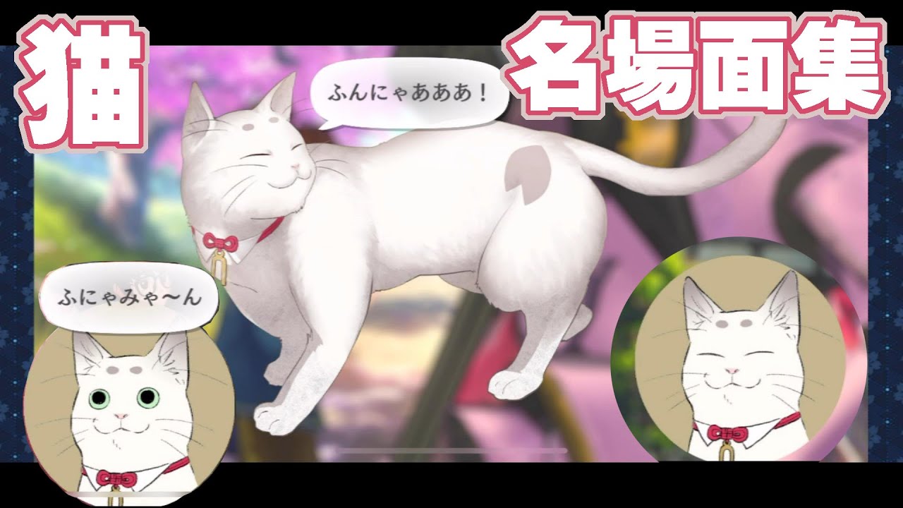 サクラ革命 キミカゲ(猫)名場面集[Sakura Kakumei Kimikage Cat Best Scenes]