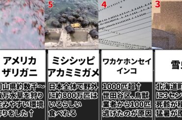 【閲覧注意】日本で起きた緊急事態宣言レベルのビックバン 【比較】🐛🦋