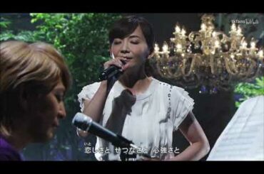 2014年 華原朋美 恋しさと せつなさと 心強さと (カバー)