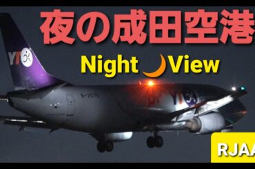 ✈✈RJAA 飛行機夜景動画 Night view 夜の成田空港 A滑走路 YTOカーゴ・エアラインズYTO Express Boeing 737-36Q(VietJet Air)AirbusA321