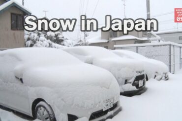 Snow expected over New Year's in Japan