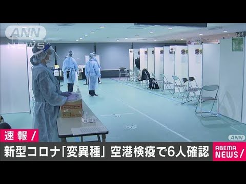 “変異種”国内で新たに6人確認　英とUAEに滞在歴(2020年12月31日)