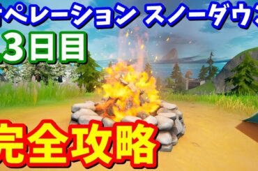 オペレーション スノーダウン13日目 完全攻略 / 焚き火を起こす【フォートナイト攻略】