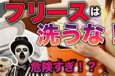 フリースを洗濯すると危険すぎ！？マイクロプラスチックで環境汚染！？WoWキツネザルが解説！