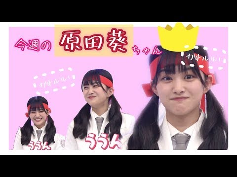 【櫻坂46】今週も葵ちゃんがかわいい 【櫻坂46】今週も葵ちゃんがかわいい