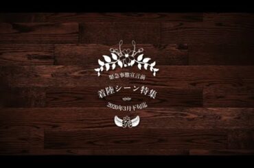 着陸シーン特集　緊急事態宣言前　2020年3月下旬迄