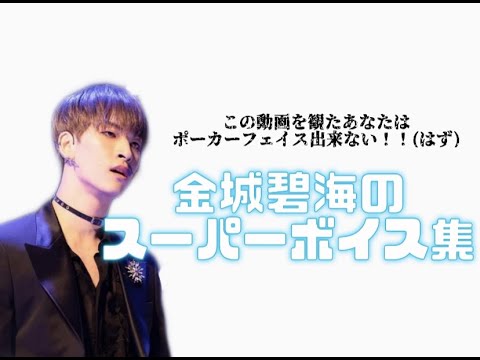 ただただ金城碧海の美声を集めた動画