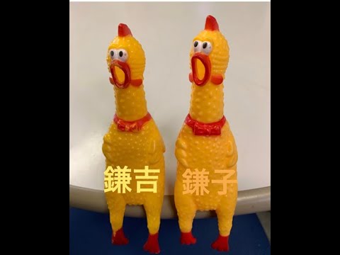 鎌倉愛＄箱 ３曲目 山口百恵/さよならの向こう側