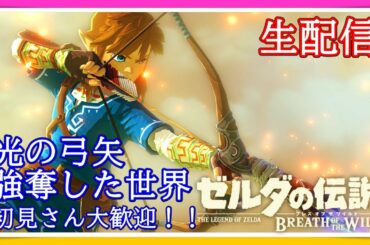 光の弓矢強奪した強くてニューゲームアカウントで攻略!!【初見さん大歓迎！！】【生放送】【ゼルダの伝説BotW】【ゼルダの伝説ブレスオブザワイルド】