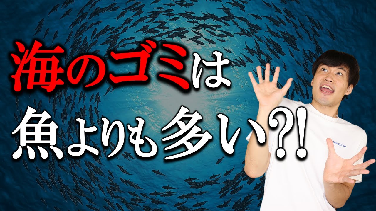 海洋プラスチックごみ問題とは?日本一わかりやすく解説します 海洋プラスチックごみ問題とは?日本一わかりやすく解説します