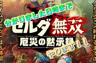 【クリスマス企画？】クリスマス終わるまで残り3時間なのでゼルダ祭りじゃーーーーー！！！【ゼルダ無双 厄災の黙示録 実況】