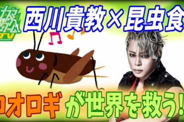 西川貴教×昆虫食 | 蚊団子の思い出とコオロギの味？！【イナズマロックドリームTV#1 後半ダイジェスト】
