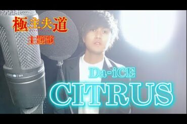Da-iCE / CITRUS  日本テレビ系日曜ドラマ「極主夫道」主題歌 prycscube by cover