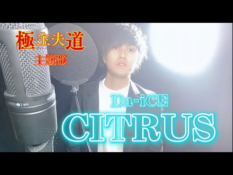 Da-iCE / CITRUS  日本テレビ系日曜ドラマ「極主夫道」主題歌 prycscube by cover
