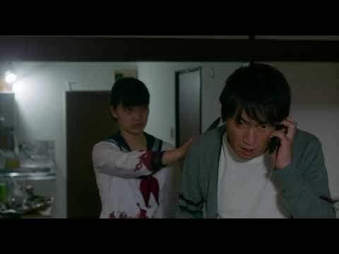 『ファンファーレが鳴り響く』特報映像