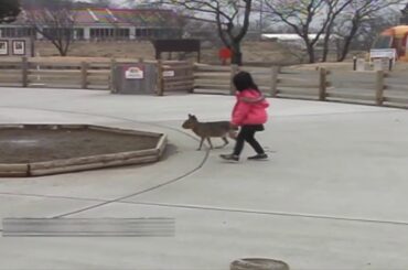 EndRoll～浜崎あゆみ