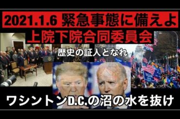 🇺🇸🐯【米大統領選挙】 ワシントンDCの沼の水を抜け アメリカ大統領選挙 緊急事態宣言に備えよ！！ ペンス副大統領の選択は 戒厳令 大統領令に備えよ あなたは歴史の証人となれ トランプ大統領