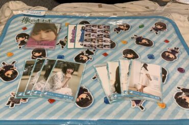 【櫻坂/日向坂】超ハイリスク・ハイリターンオリパ作るぞ！