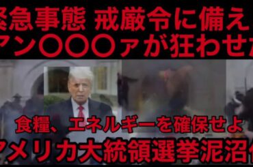 🚨内戦 戒厳令 大統領令に備えよ 憲法法律が無効になる アメリカ大統領選挙 食糧備蓄、食糧難に備えよ トランプ大統領 ペンス副大統領 軍が出動する ワシントンDCの沼の水を抜け