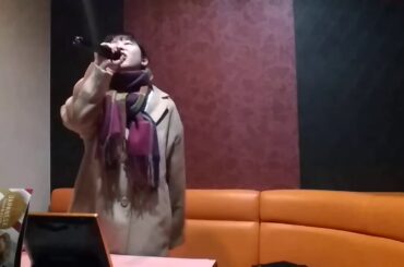 【歌ってみた】罪と罰/椎名林檎【ストレス発散やけっぱちカラオケシリーズ】