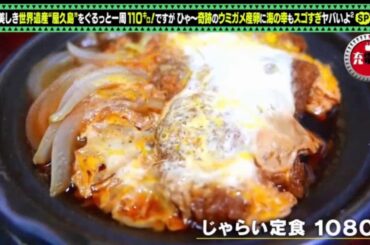 出川哲朗の充電させてもらえませんか 190810 美しき世界遺産“屋久島”SP