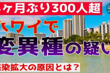 【ハワイの感染者数が急増】ハワイで南アフリカ変異種の感染拡大か？【エアハワイ】【4K】