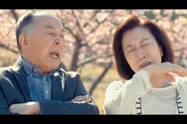 高畑淳子&橋爪功がケンカばかりの熟年夫婦、娘に剛力彩芽／映画『お終活 熟春！人生、百年時代の過ごし方』特報