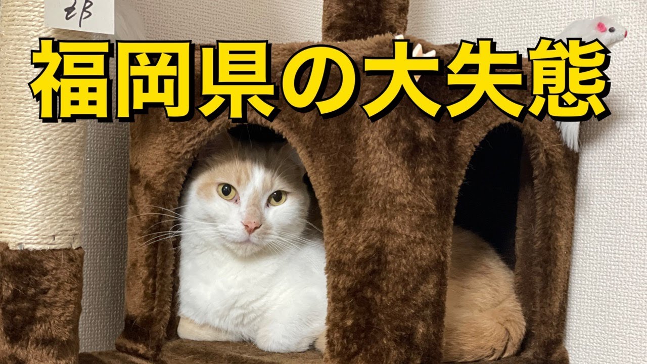 コロナ陽性リスト閲覧可能の常態だった。