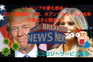 トランプ大統領夫妻も感染！コロナ重症例の一部、ネアンデルタール人由来の遺伝子と関連か？　遺伝子工学　バイオ工学　基元酵素　EMBC複合発酵　高嶋康豪
