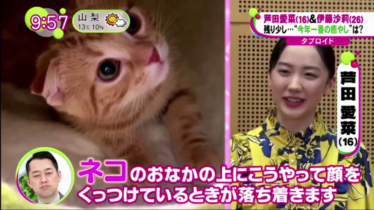 芦田愛菜＆伊藤沙莉“秘密の癒やし”  ノンストップ！ 12月14日